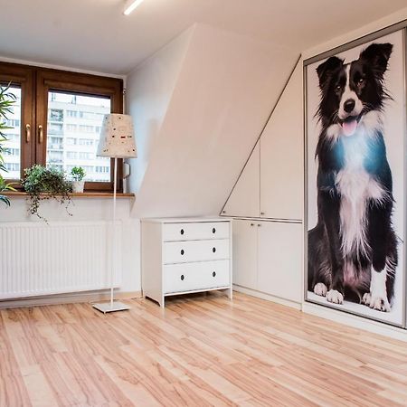 Apartament Lux-Centrum Gliwice Dış mekan fotoğraf