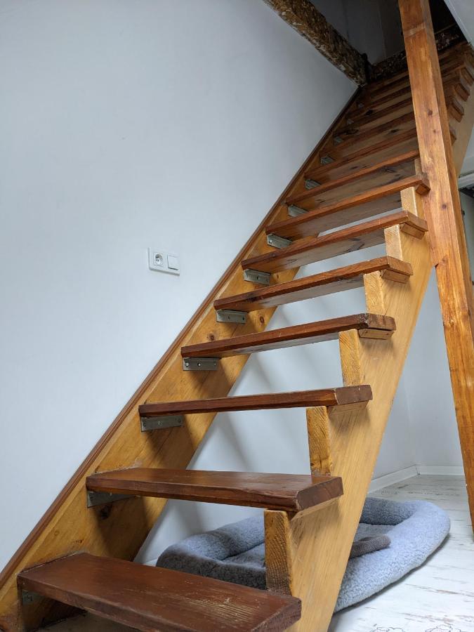 Apartament Lux-Centrum Gliwice Dış mekan fotoğraf